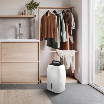 Осушитель воздуха Electrolux EDH-22L